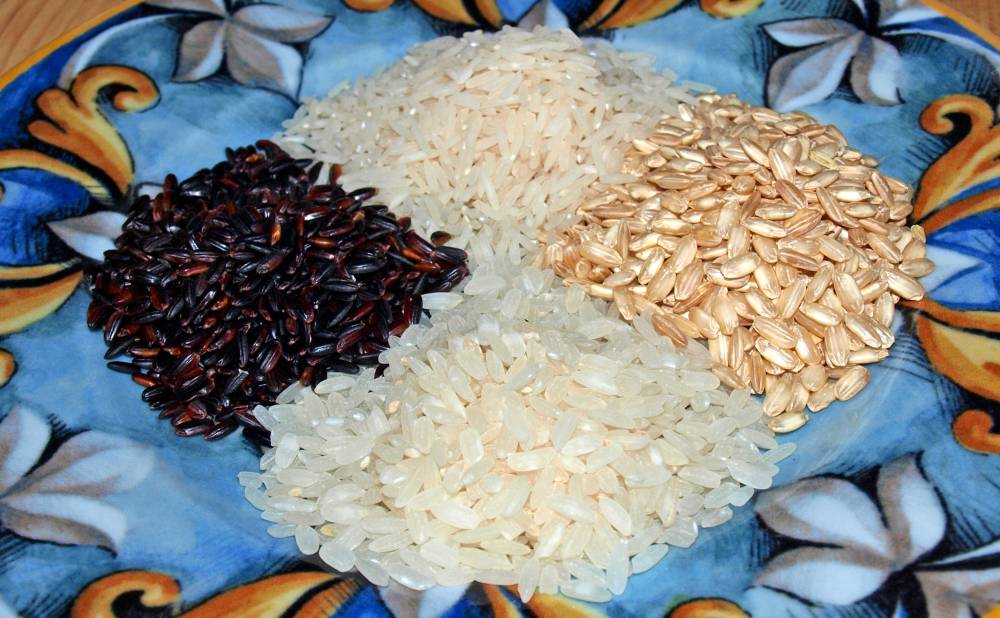 Reis ist vegan für Einsteiger in die asiatische Küche.